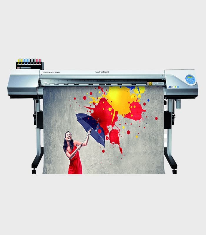 Flex Printing- 65square feet - 1